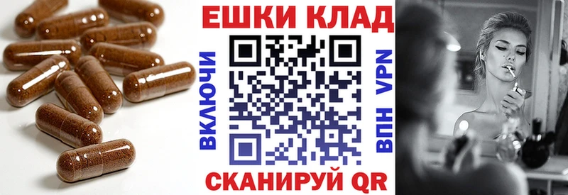 где купить наркотик  KRAKEN рабочий сайт  ЭКСТАЗИ ешки  Гвардейск 