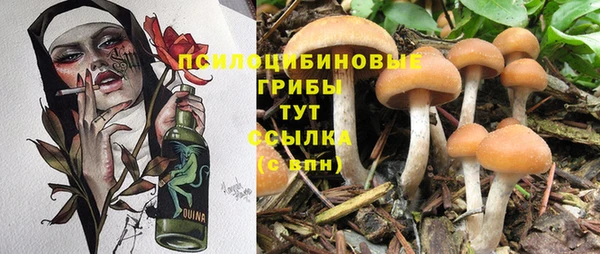 не бодяженный Алзамай