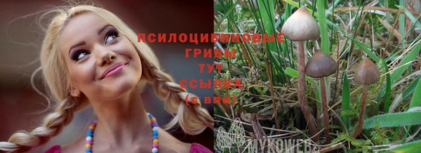 не бодяженный Алзамай