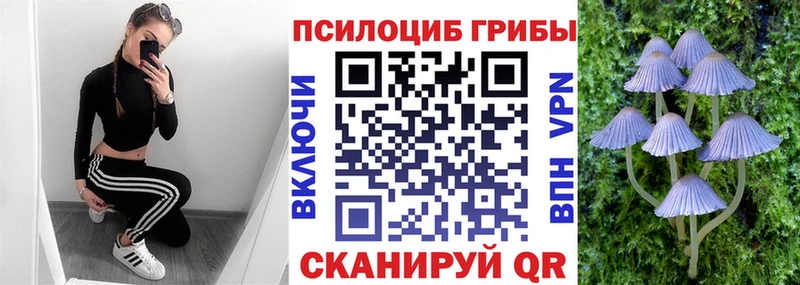 darknet телеграм  Гвардейск  Галлюциногенные грибы мицелий 